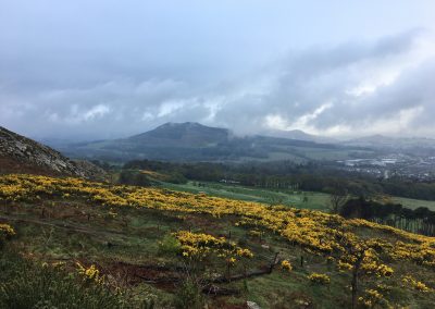 Hiking Ireland Wicklow Mountains2